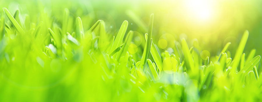 arjo-blog-earth-day-april-2019-header